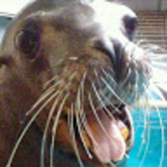 Meet your Posher, Christina - Picture 1 of 1